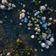 Illustration for article titled Otherworldly Winter Photos Captured Dangerously - While Paragliding